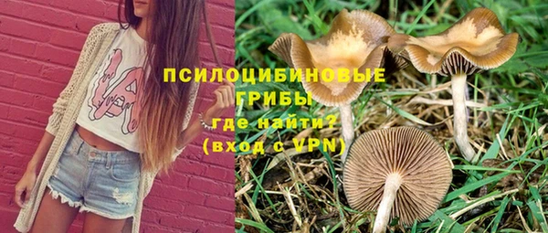 ГАЛЛЮЦИНОГЕННЫЕ ГРИБЫ Абдулино