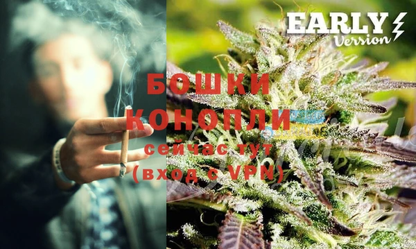 шишки Кущёвская