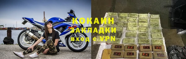 шишки Кущёвская