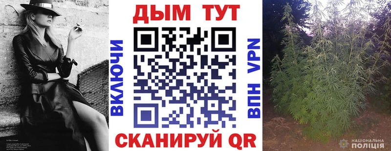 Бошки Шишки индика  Тбилисская 